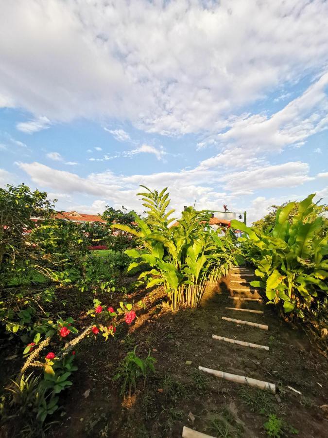 Hotel Arrayanes Del Quindio Montenegro Exteriér fotografie